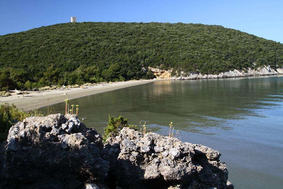 Вилла Fattoria Il Duchesco Альберезе Экстерьер фото